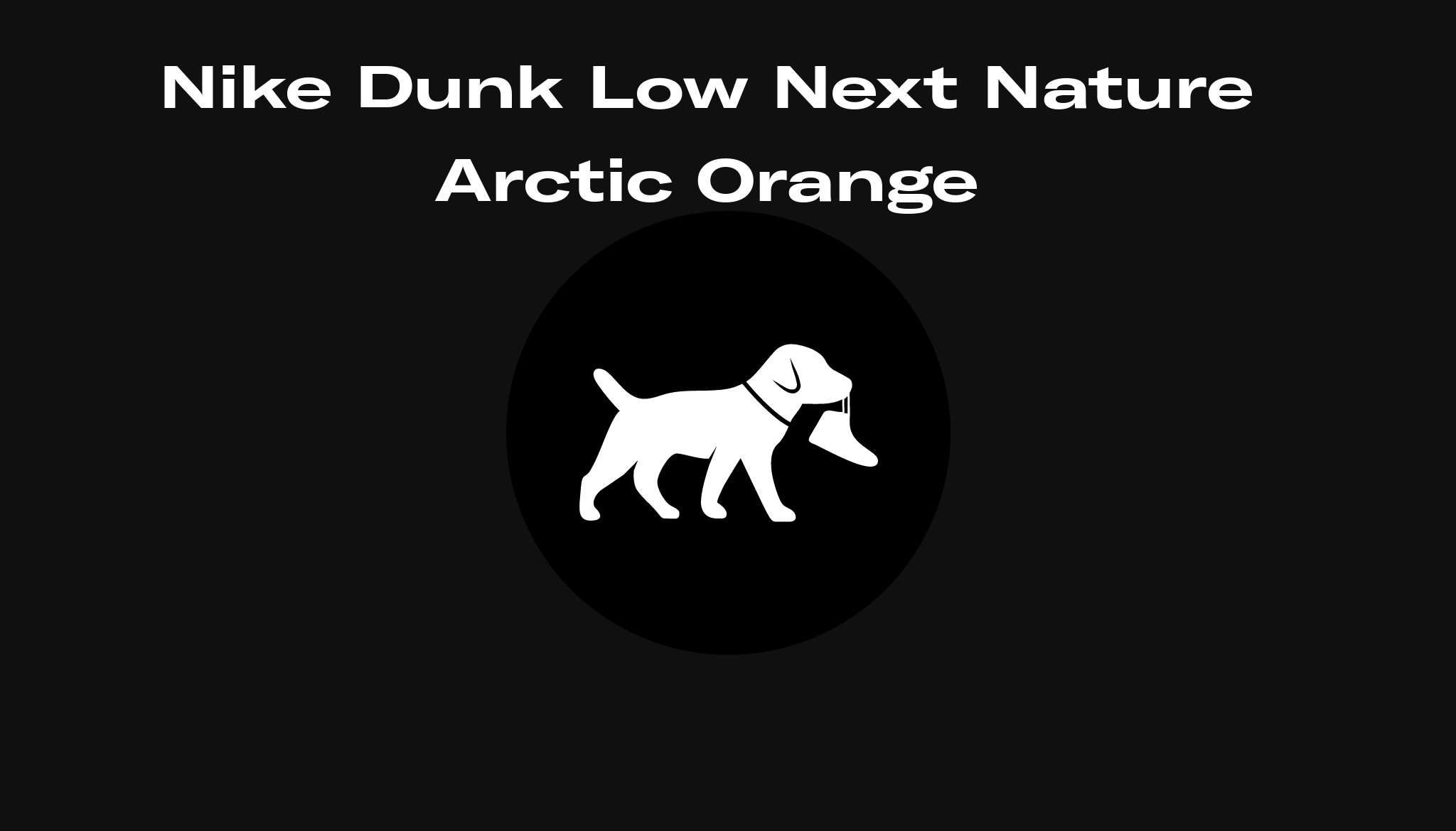 nature arctic orange